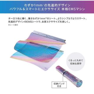 イームス(EMS)のルルドスタイル EMSシート(エクササイズ用品)