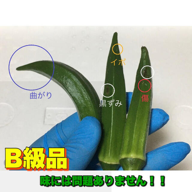 訳あり 沖縄県産 オクラ 50本 食品/飲料/酒の食品(野菜)の商品写真