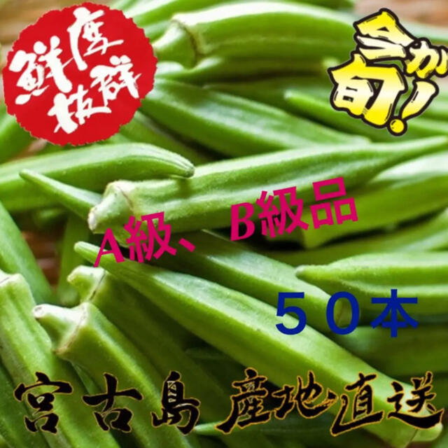 訳あり 沖縄県産 オクラ 50本 食品/飲料/酒の食品(野菜)の商品写真
