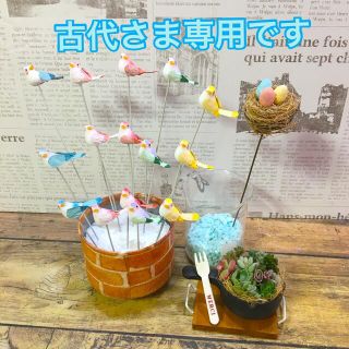 多肉植物　ミニチュア寄せ植え　トリさんピック(その他)