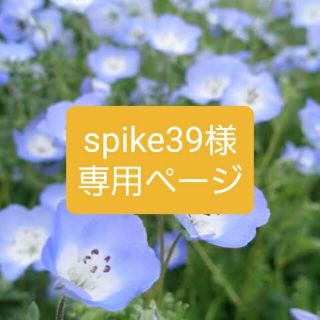 spike39様専用ページ(その他)