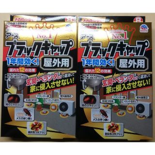 アースセイヤク(アース製薬)のブラックキャップ 屋外用 8個入×2箱 アース製薬(日用品/生活雑貨)