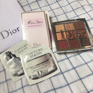 ディオール(Dior)のDIOR バックステージ　アイパレット　003 アンバー(アイシャドウ)