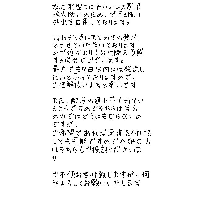 【大人気 超高額品種】ブラックキャッツ 葉挿し 発芽(？)発根済み！ 多肉植物 ハンドメイドのフラワー/ガーデン(その他)の商品写真