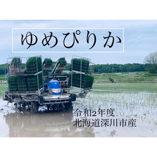 農家直送　北海道米　ゆめぴりか　10キロ　精米　玄米　新米(米/穀物)