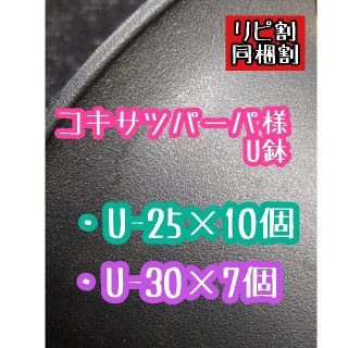 コキサツパーパ様 U鉢(その他)