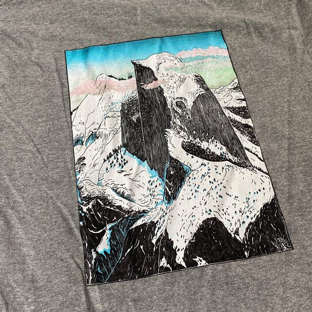 patagonia(パタゴニア)のパタゴニア  ティーシャツ　S メンズのトップス(Tシャツ/カットソー(半袖/袖なし))の商品写真