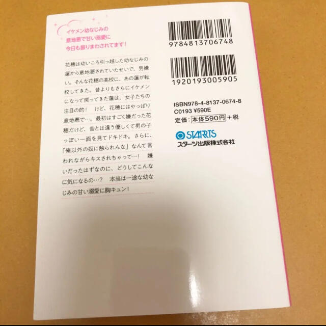 野いちごケータイ小説 エンタメ/ホビーの本(文学/小説)の商品写真