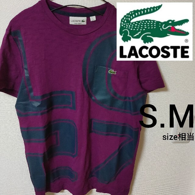 LACOSTE(ラコステ)の美品 LACOSTE パープル 半袖カットソー Tシャツ メンズ size2 メンズのトップス(Tシャツ/カットソー(半袖/袖なし))の商品写真