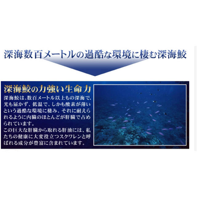 深海鮫 サプリ スクワラン オイル スクアレン EPA 純度99.9% 3ヶ月分 食品/飲料/酒の健康食品(その他)の商品写真