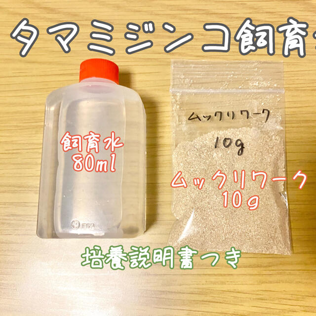 タマミジンコ 80ml 飼育水 めだか、ベタ、金魚等の餌 稚魚に その他のペット用品(ペットフード)の商品写真