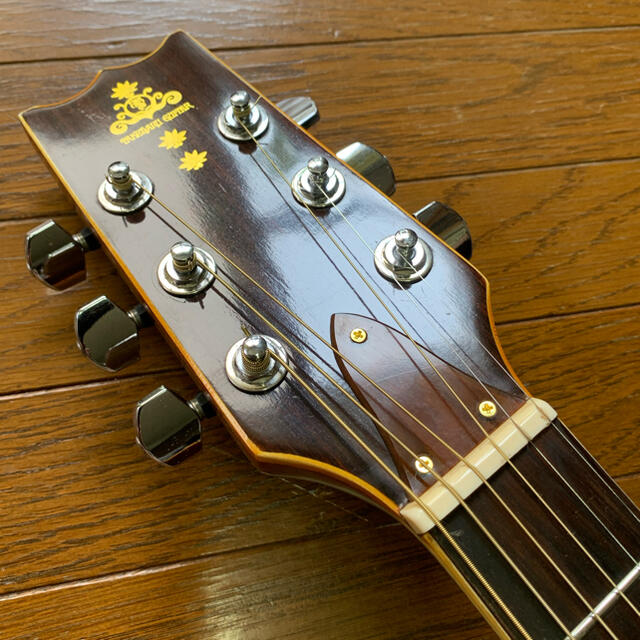 IMNR 様専用　美響 Takeharu WT200 アコースティックギター