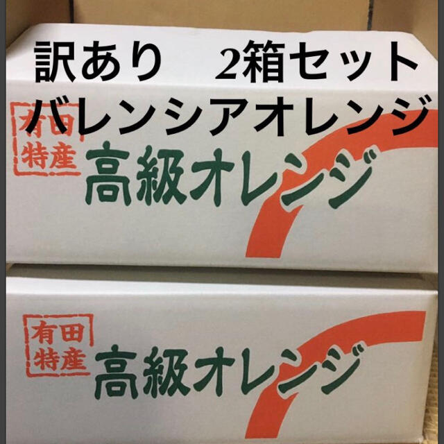 訳あり　2箱セット　LL 国産バレンシアオレンジ　送料無料 食品/飲料/酒の食品(フルーツ)の商品写真