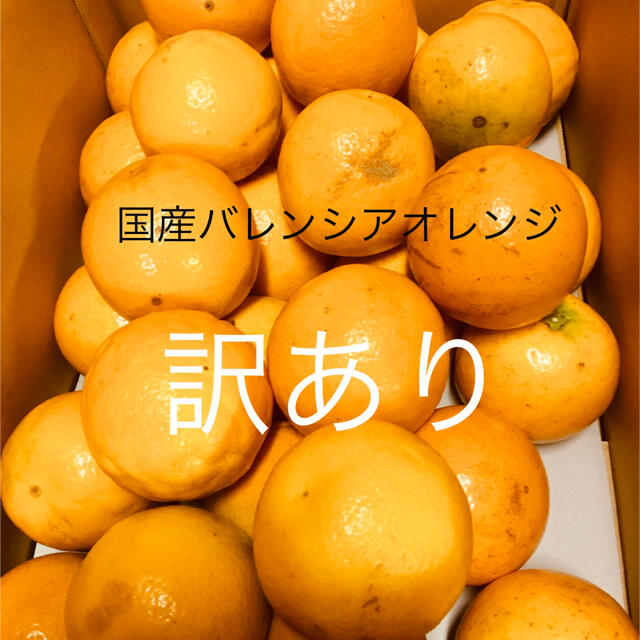 訳あり　2箱セット　LL 国産バレンシアオレンジ　送料無料 食品/飲料/酒の食品(フルーツ)の商品写真