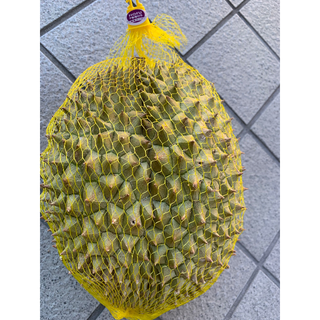 ベトナム新鮮ドリアン(RI6の通販 by 青果|ラクマ