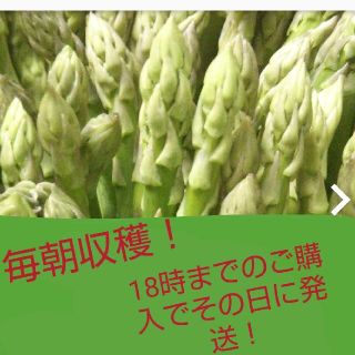 新鮮！グリーンアスパラガス  1㎏(野菜)