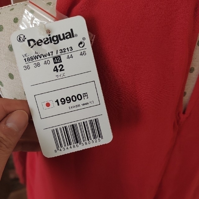 DESIGUAL(デシグアル)の土日のみお値下！【新品】デシグアル＊フラワー刺繍ミニワンピ【Desigual】 レディースのワンピース(ミニワンピース)の商品写真