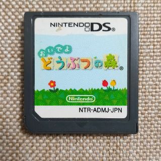 ニンテンドーDS(ニンテンドーDS)のおいでよどうぶつの森(携帯用ゲームソフト)