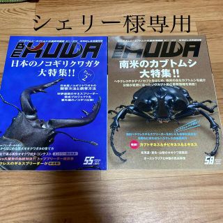 ビークワ55号、58号(専門誌)