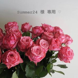 セザンヌケショウヒン(CEZANNE（セザンヌ化粧品）)のSummer24 様 専用 ‪‪☺︎‬(化粧下地)