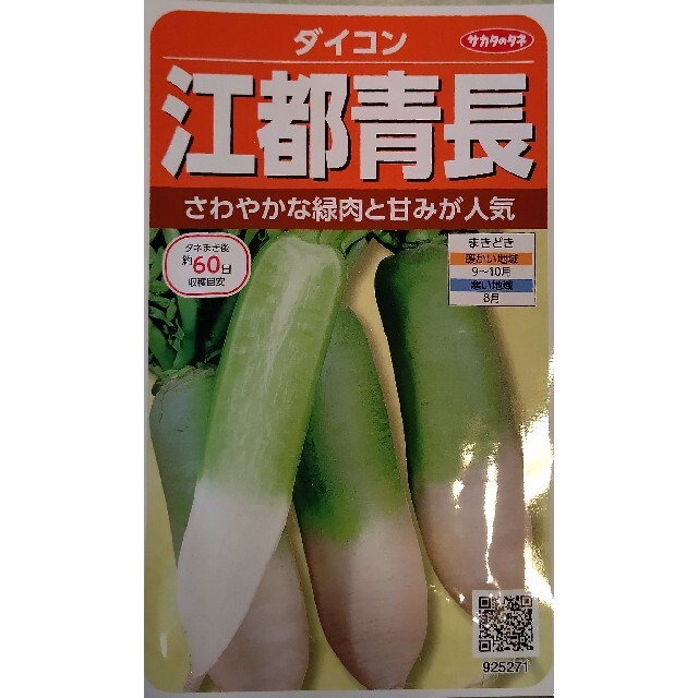 カラフル大根 野菜種 家庭菜園 プランター ダイコン 食品/飲料/酒の食品(野菜)の商品写真