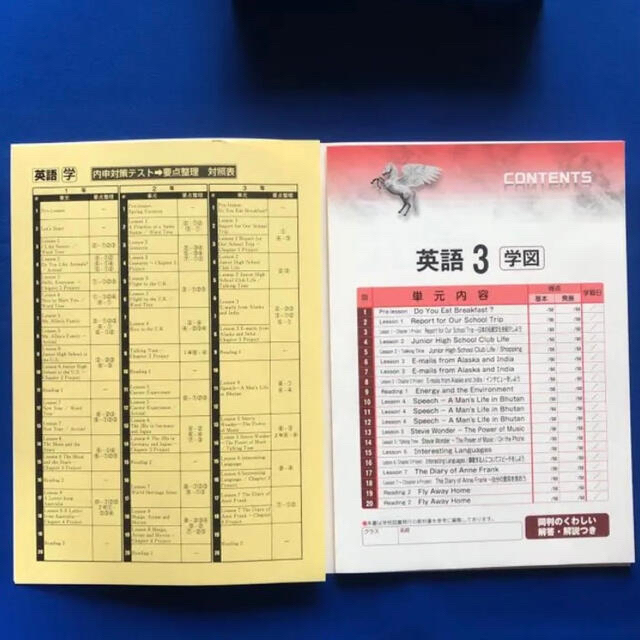 平成28年度改訂教科書対応家庭学習指導書!値下げ