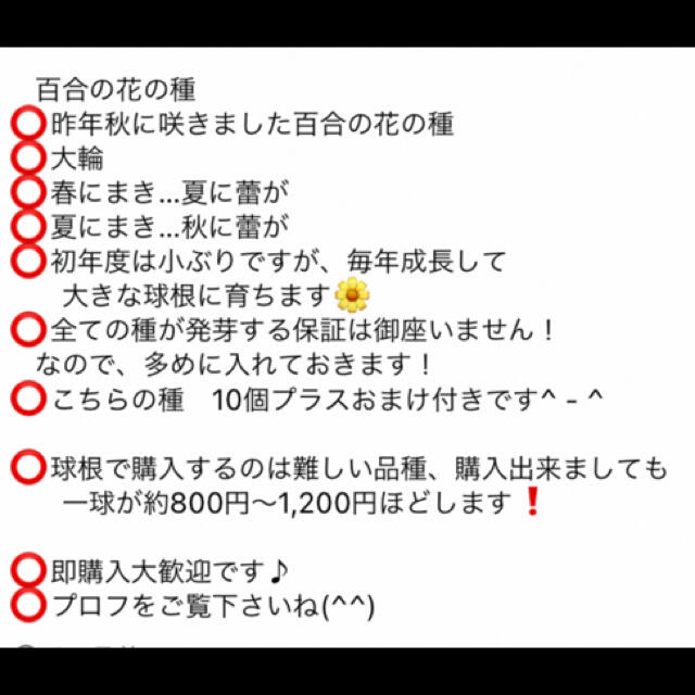 大輪ゆりの花の種 ハンドメイドのフラワー/ガーデン(その他)の商品写真