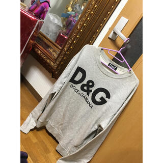 ディーアンドジー(D&G)のD＆Ｇ✨ドルガバ 正規品✨廃盤 希少 稀少 レア ビックロゴ トレーナー‼️(スウェット)