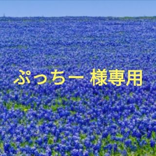 ザセム(the saem)のぷっちー 様専用(コンシーラー)