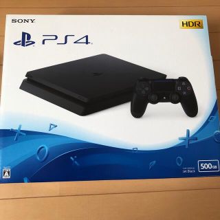 プレイステーション4(PlayStation4)のmstkg1様　専用(家庭用ゲーム機本体)