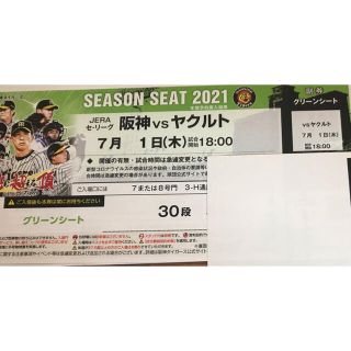 ハンシンタイガース(阪神タイガース)の阪神 vs ヤクルト グリーンシート通路側 7月1日(木) 18:00-(野球)