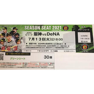 ハンシンタイガース(阪神タイガース)の阪神 vs DeNA グリーンシート通路側 7月13日(火) 18:00-(野球)