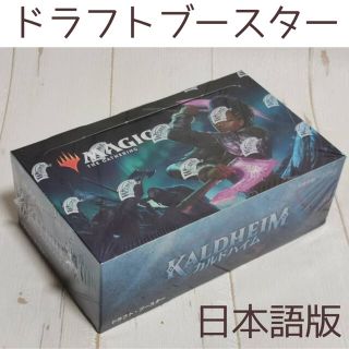 マジック:ザ・ギャザリング - 【MTG】カルドハイム ドラフト
