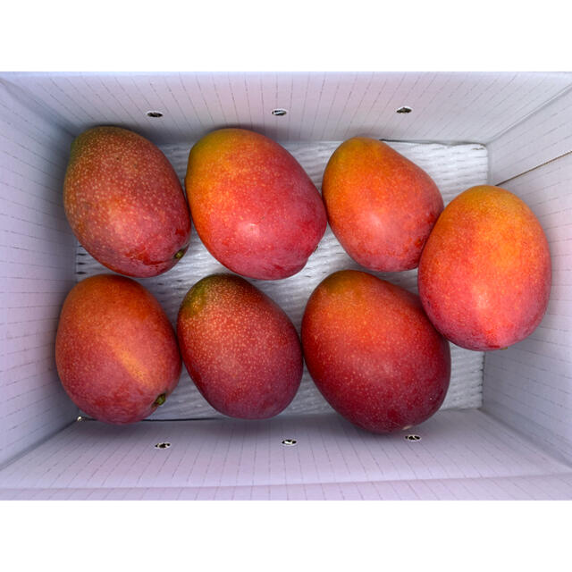 送料無料カード決済可能 りんご様専用 沖縄 摘果マンゴー 収穫分 20kg