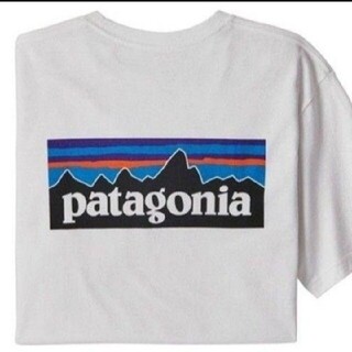 パタゴニア(patagonia)のXS パタゴニア tシャツ ロゴt P-6ロゴ レスポンシビリティー(Tシャツ/カットソー(半袖/袖なし))