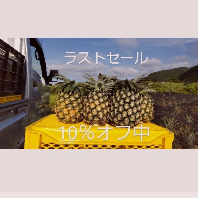最後の大収穫祭！沖縄県西表島産島パイン(ハワイ種) 約4㎏（4～6玉） 食品/飲料/酒の食品(フルーツ)の商品写真