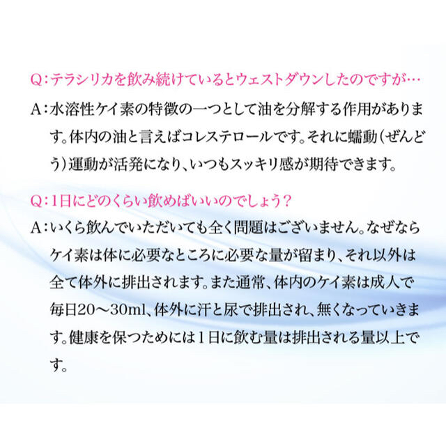 TeraSilica テラシリカ　300ml コスメ/美容のコスメ/美容 その他(その他)の商品写真