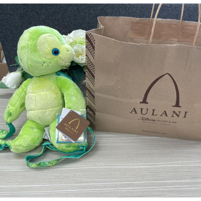 メール便無料 ハワイ限定 新品 ディズニー バッグ オル Aulani おもちゃ ぬいぐるみ Hlt No