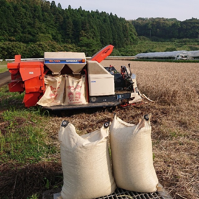 紫もち麦５kg(ダイシモチ)八分精麦令和３年産 食品/飲料/酒の食品(米/穀物)の商品写真