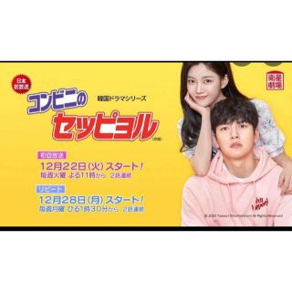 韓国ドラマ　コンビニのセッピョル　DVD(TVドラマ)