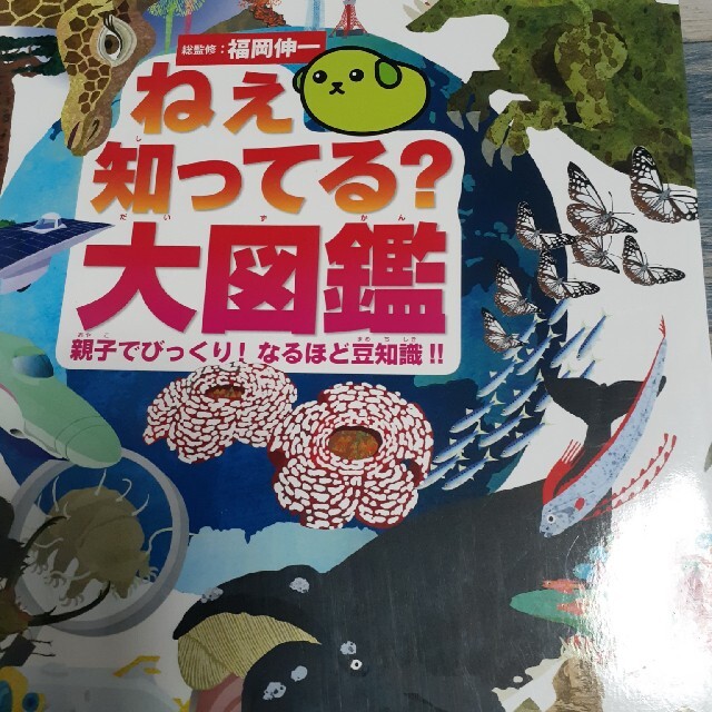 ねぇ知ってる？大図鑑 親子でびっくり！なるほど豆知識！！