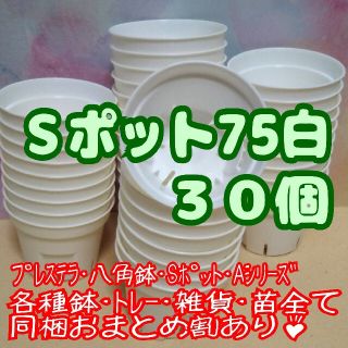 Sポット75 白 30個 2.5号 丸型 スリット鉢プレステラ 多肉植物 プラ鉢(プランター)