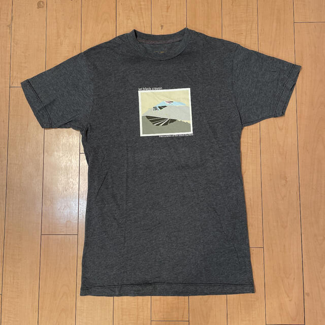 POWELL(パウエル)の超希少 Tommy Guerrero トミーゲレロ バンド Tシャツ スケボー メンズのトップス(Tシャツ/カットソー(半袖/袖なし))の商品写真