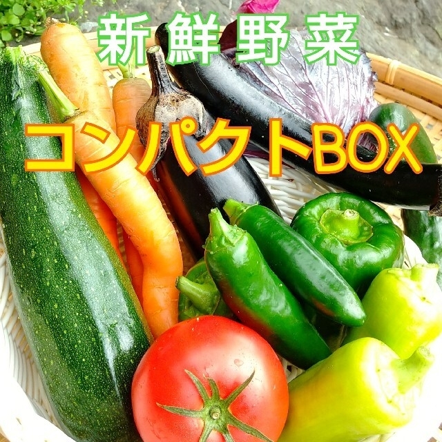 新鮮朝採り【畑〜直送便】 コンパクトBOXでお届け♪  農薬不使用 食品/飲料/酒の食品(野菜)の商品写真