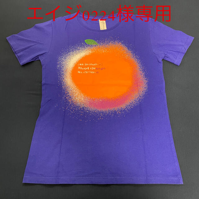 Mr.Children ライブTシャツ メンズのトップス(Tシャツ/カットソー(半袖/袖なし))の商品写真