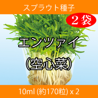 スプラウト種子 S-14 エンツァイ（空心菜） 10ml 約170粒 x 2袋(野菜)