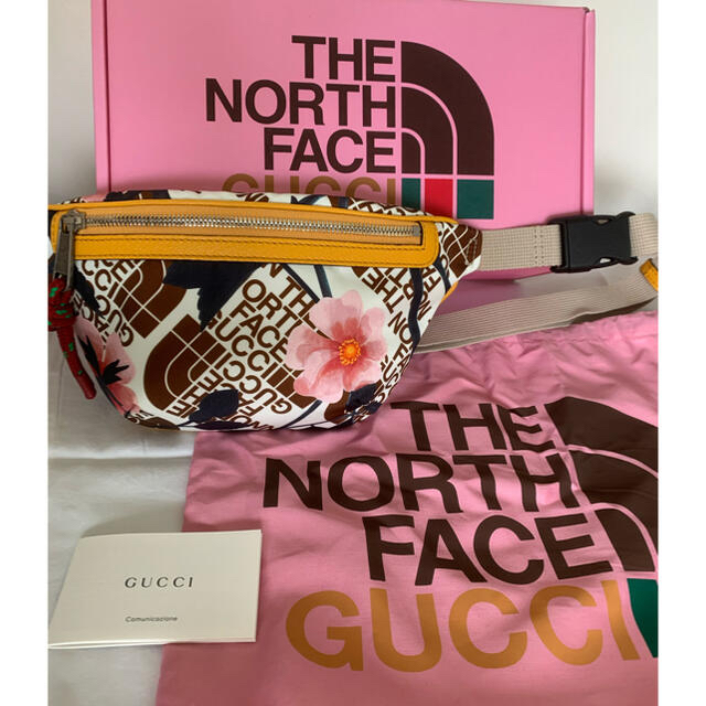 Gucci(グッチ)の⭐︎お値下げ！激レア！GUCCI X THE NORTH FACE ボディバック メンズのバッグ(ボディーバッグ)の商品写真