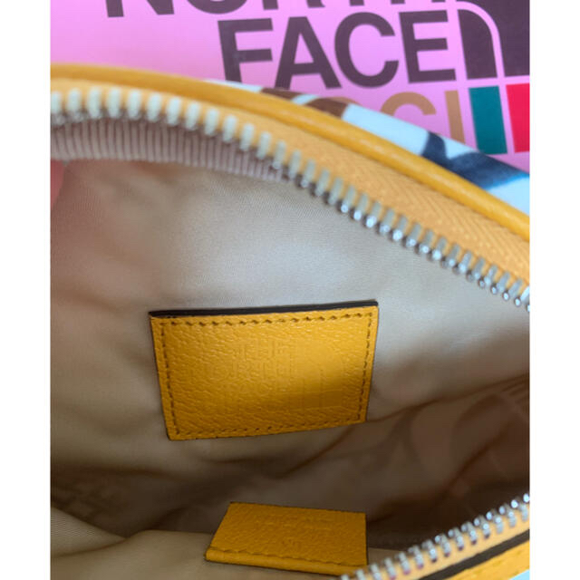 Gucci(グッチ)の⭐︎お値下げ！激レア！GUCCI X THE NORTH FACE ボディバック メンズのバッグ(ボディーバッグ)の商品写真