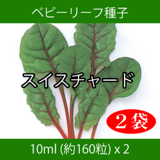 ベビーリーフ種子 B-43 スイスチャード 10ml 約160粒 x 2袋(野菜)