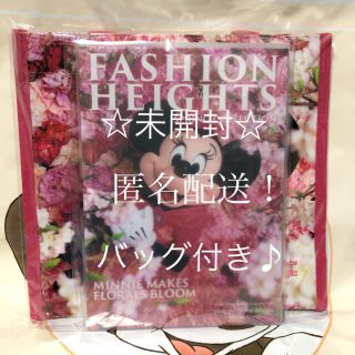 ミニーマウス(ミニーマウス)の【新品未使用未開封☆】ディズニー TDR限定 イマジニング ミニー 写真集(キャラクターグッズ)